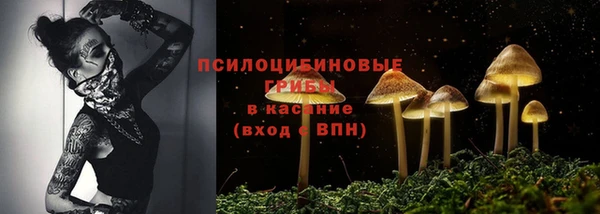 молекула духа Киров