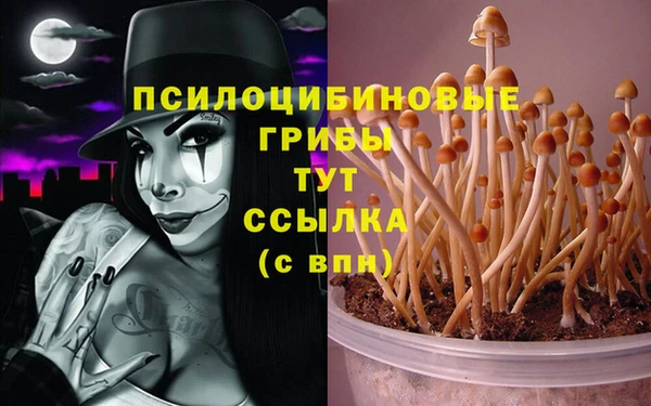 jwh Кинешма