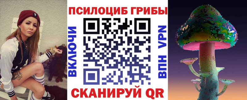 Галлюциногенные грибы Cubensis  купить   MEGA как войти  Снежногорск 